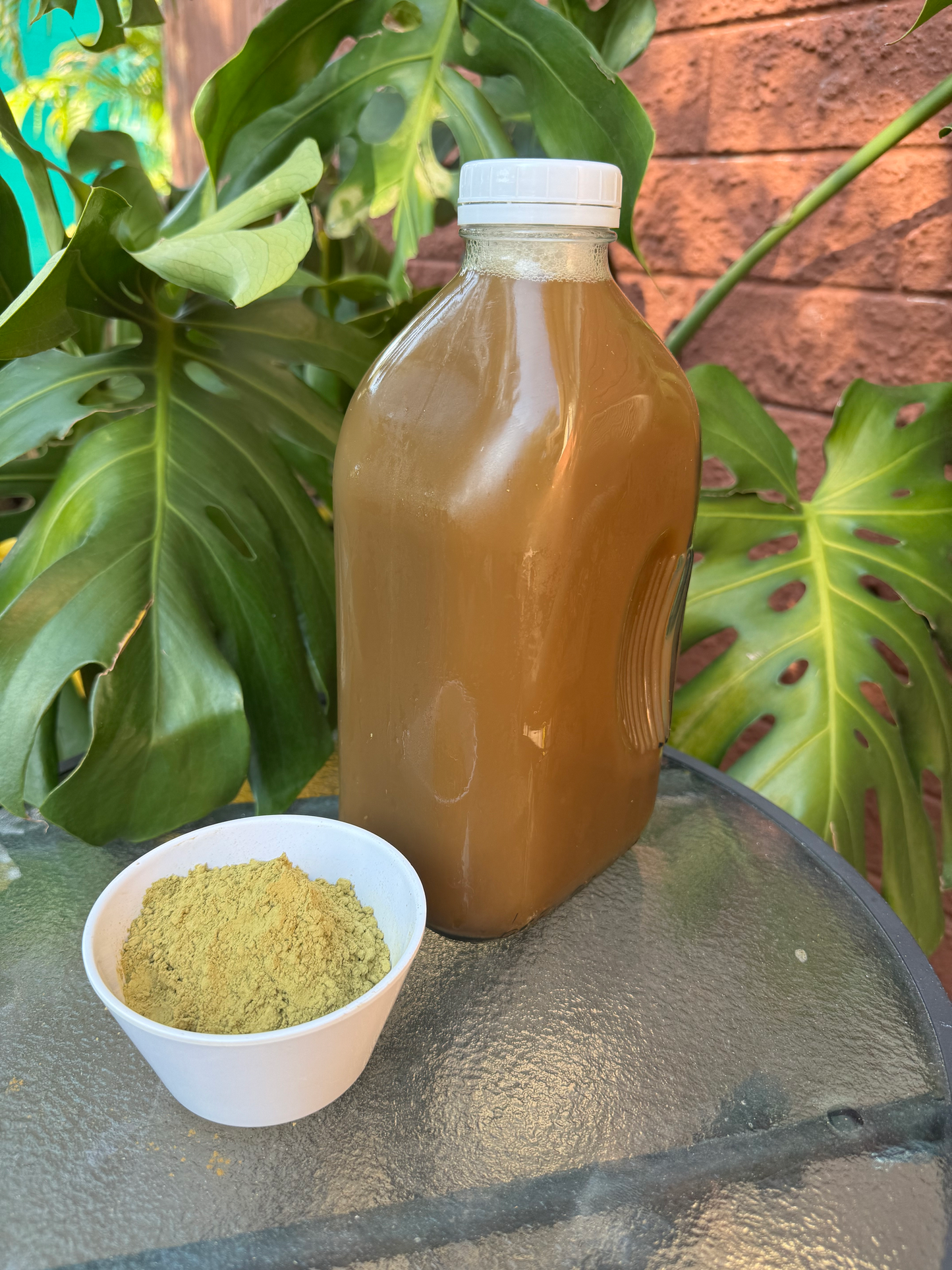 1/2 Gallon Kratom Coast Yellow Kratom