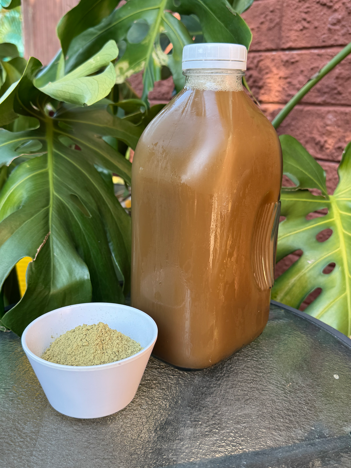 1 Gallon Kratom Coast White Kratom