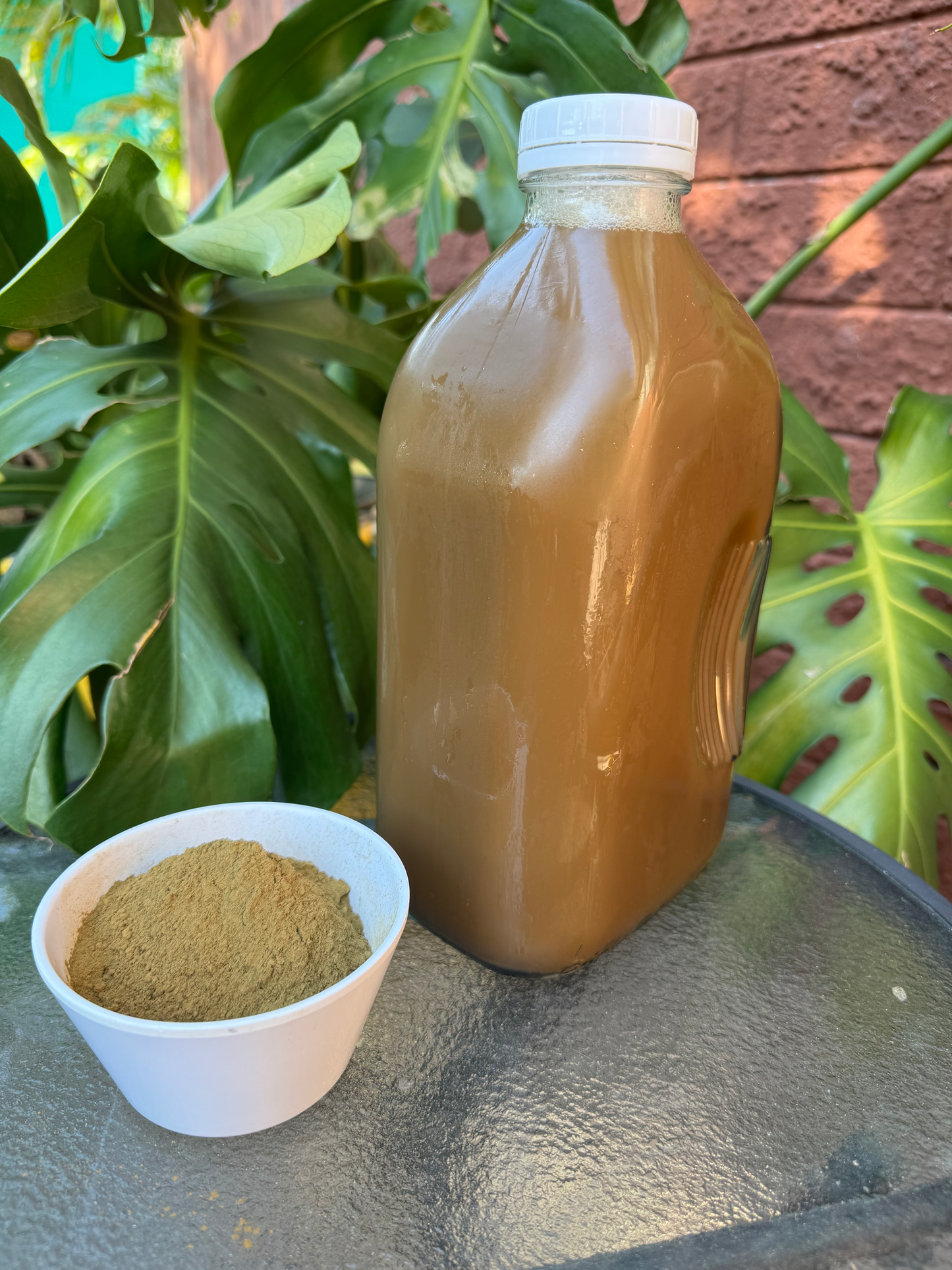 1/2 Gallon Kratom Coast Green Kratom